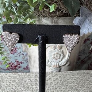 Heart Shaped Stainless Steel Earrings NWOT